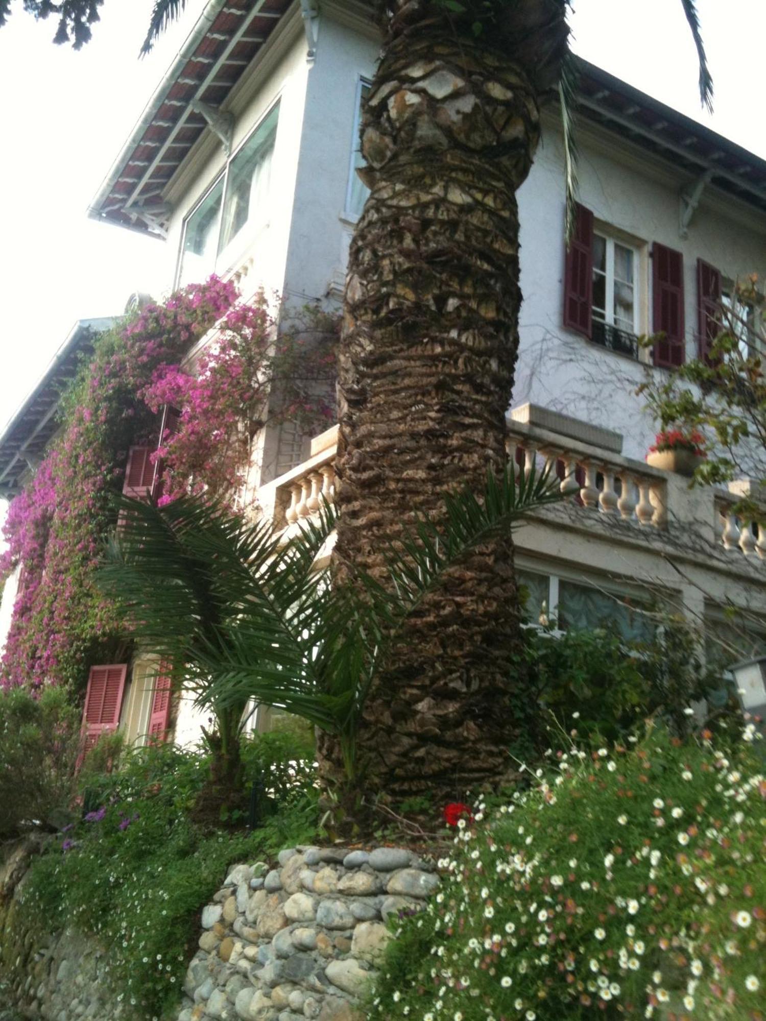Castel Enchante Νίκαια Εξωτερικό φωτογραφία
