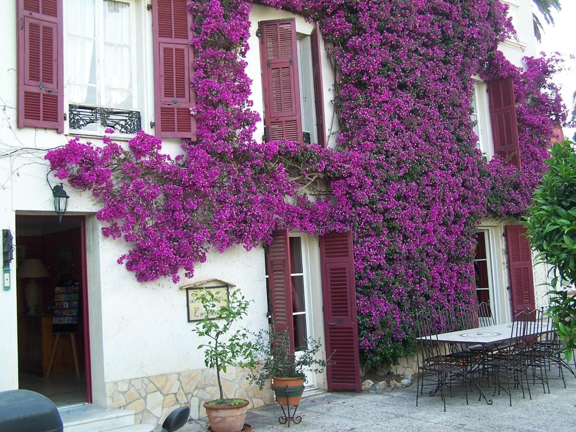 Castel Enchante Νίκαια Εξωτερικό φωτογραφία