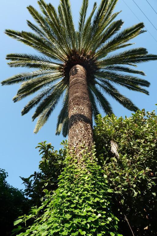 Castel Enchante Νίκαια Εξωτερικό φωτογραφία